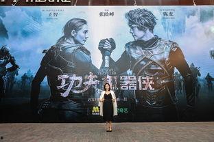 功夫机器侠在线观看,钢铁侠魂，热血激战，在线观影指南  第3张