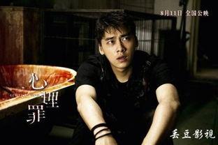 心理罪24集在线观看,揭秘心理罪案背后的心理战 第1张 心理罪24集在线观看,揭秘心理罪案背后的心理战 第1张